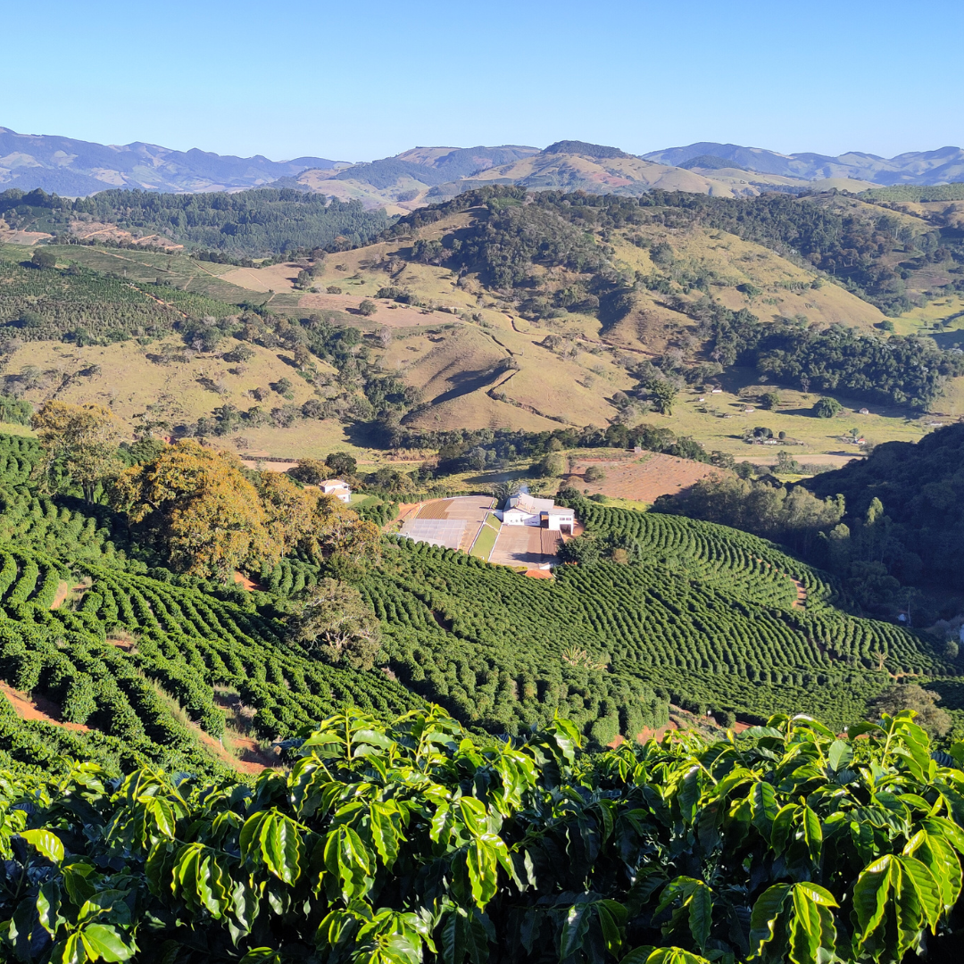 pestitel_kavy_fairtrade_2